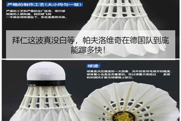 拜仁这波真没白等，帕夫洛维奇在德国队到底能蹿多快！