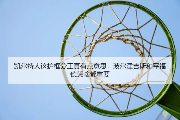 凯尔特人这护框分工真有点意思，波尔津吉斯和霍福德凭啥都重要