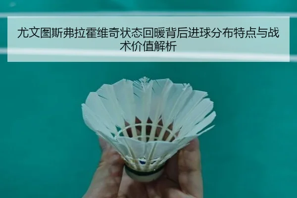 尤文图斯弗拉霍维奇状态回暖背后进球分布特点与战术价值解析