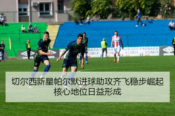 img_1779475551433_913_1_500.jpg