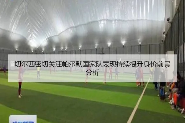 切尔西密切关注帕尔默国家队表现持续提升身价前景分析