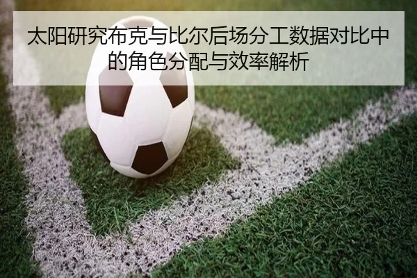 太阳研究布克与比尔后场分工数据对比中的角色分配与效率解析